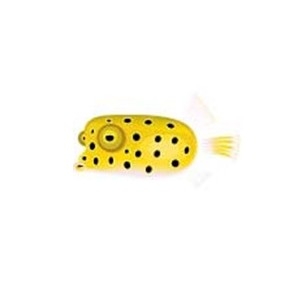 Yellow Box Fish